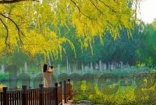 麻豆国产传媒-国产传媒风采，麻豆平台的艺术魅力与文化传承